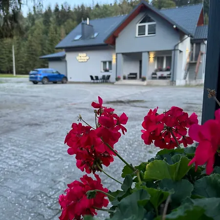 بيت ضيافة Pokoje Vik-house فيسلا