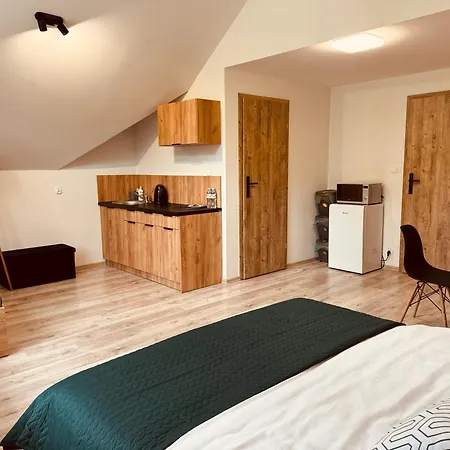 Pensjonat Pokoje Vik-house *