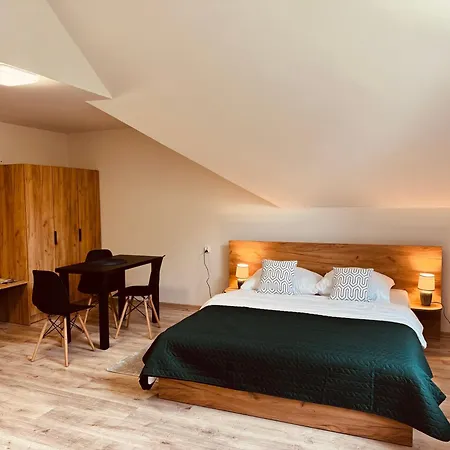 بيت ضيافة Pokoje Vik-house فيسلا