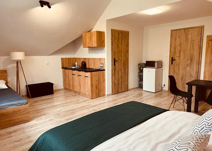 בית הארחה Pokoje Vik-house 3*