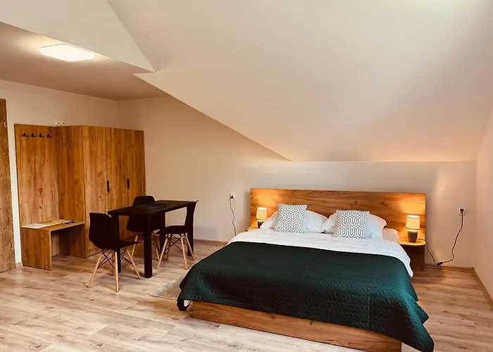 בית הארחה Pokoje Vik-house ויסלאו